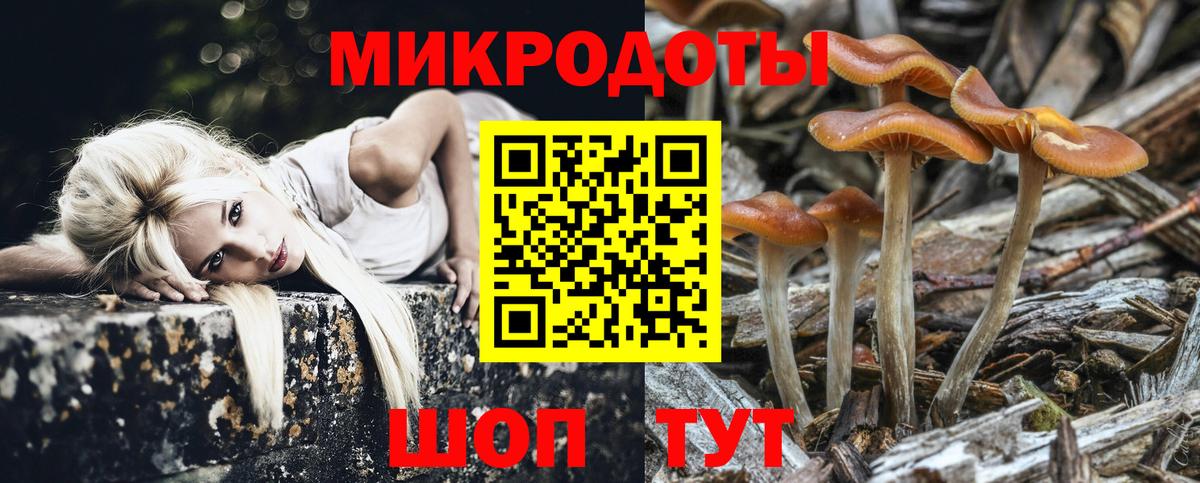 Псилоцибиновые грибы GOLDEN TEACHER Йошкар-Ола