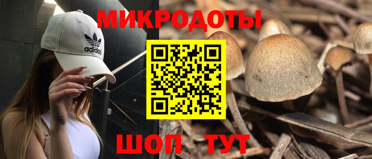 Йошкар-Ола  Галлюциногенные грибы GOLDEN TEACHER  Вход с VPN 